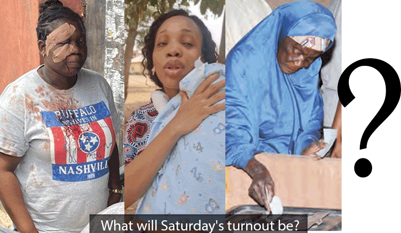 Understanding Nigeria's Electoral System: The Promise and Betrayal of the BVAS