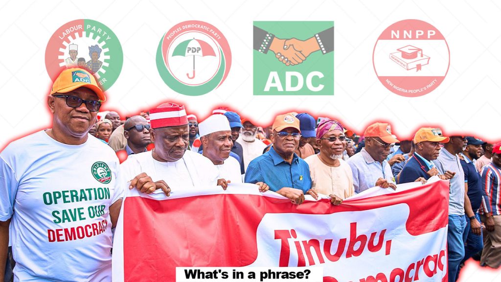An image of ADC protesters with logos of ADC, PDP, NNPP and Labour Party